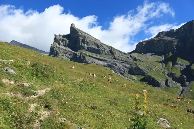 Petit Muverans au départ du tour de la pointe de Chémo, direction la cabane Rambert du CAS - rando, randonnée, Ovronnaz, Suisse, Valais