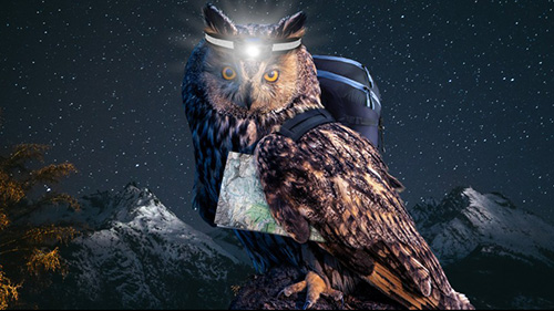 Nuit de la randonnée. Découvrez les chemins de randonnée sous un nouveau jour ou plutôt une nouvelle nuit.